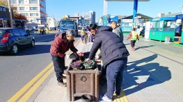 성주읍 아름다운 꽃거리 조성 성주군청 > 성주소개 > 군정홍보 > 성주군 새소식 보기 성주문화관광