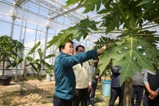 성주군 농업기술센터 방문 성주군 새소식 보기 > 군정홍보 > 성주소개 > 성주군청 성주군청