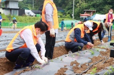 용암면 지역사회보장협의체 지역특화 행복농장 조성사업 성주군청 > 성주소개 > 군정홍보 > 성주군 새소식 보기