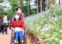 글목록 성주군청 > 성주소개 > 군정홍보 > 성주군 새소식 보기