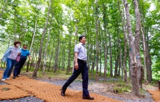 가야산 오토캠핑장 방문 성주군 새소식 보기 > 군정홍보 > 성주소개 > 성주군청 성주군청