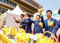 글목록 성주군청 > 성주소개 > 군정홍보 > 성주군 새소식 보기 다함께! 힘찬 새성주, 체육시설사업소