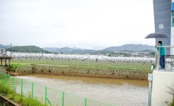 (글보기)성주관내 배수펌프장 현장 방문 성주군청 > 성주소개 > 군정홍보 > 성주군 새소식 보기