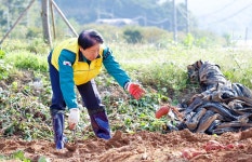 가천면 지역사회보장협의체 고구마 수확 성주군 새소식 보기 > 군정홍보 > 성주소개 > 성주군청 성주군청