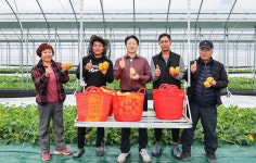 외국인계절근로자 고용 농가 방문 성주군 새소식 보기 > 군정홍보 > 성주소개 > 성주군청 성주군청