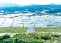 성주군 파크골프장 > 성주참외파크골프장 > 시설정보 > 성주파크골프장 성주군 파크골프장