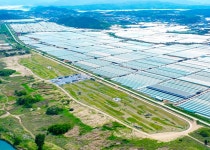 성주군 파크골프장 > 성주참외파크골프장 > 시설정보 > 성주파크골프장 성주군 파크골프장