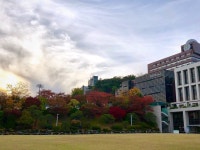 전경 게시판읽기 ( 해질녘의 명륜캠퍼스 ) | 성균관대 ( 갤러리 )