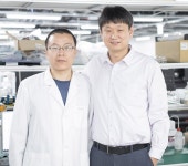 Research Stories 게시판읽기 ( 2차원 소재 ‧ 소자의 양자역학적 상호 작용 규명 ) | 성균관대학교 Research Stories 게시판읽기 ( 2차원... 