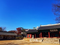 PHOTO 게시판읽기 ( 가을의 성균관 ) | 성균관대 ( 갤러리 )