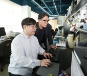 자연면역 약상 | Research Stories 게시판읽기 ( 자연감염에 의한 면역 반응을 모방한 ‘ 동력학적 면역치료 백신 ’ 개발 ) | 성균관대학교 Research Stories...