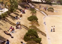 역사갤러리 게시판목록 | 성균관대학교