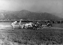 역사갤러리 게시판목록 | 성균관대학교