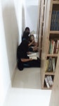 역사전문도서관 | 작은도서관