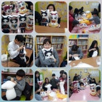 야옹! 고양이 친구 쿠션을 내 품안에~~ | 작은도서관