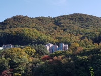 예움도서관 | 작은도서관