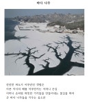 복흥작은도서관 | 작은도서관