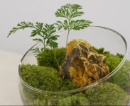 복흥작은도서관 | 작은도서관