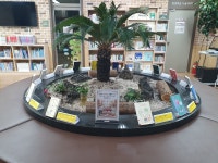 상현2동 작은도서관 2026년 3월 북큐레이션 : 진짜 시작은 3월부터! 꽃처럼 다시 피어날 당신에게 | 작은도서관