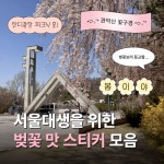 서울대학교