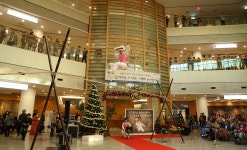 공지사항 - 분당서울대학교병원 분당서울대학교병원