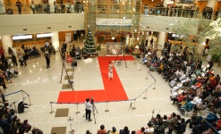 공지사항 - 분당서울대학교병원 분당서울대학교병원
