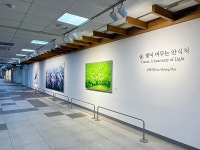 제24회 숲, 빛이 머무는 안식처 - 김명희 개인전 | 서울대학교병원 제24회 숲, 빛이 머무는 안식처 - 김명희 개인전