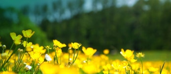 환경자원사업소 환경자원사업소, 시설현황, 매립시설, 소각시설, 재활용, 공공재활용