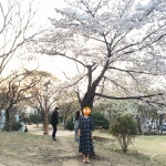 썸데이이프