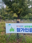 걷기대회 후기 - 문화관광