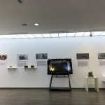 상세보기 - 여름방학 특별전 과거의 흔적을 찾아서(화석전시) - 예송미술관 - 문화행사 - 문화예술회관 - 송파구청