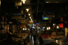 인터넷기록관 - 송파구청 송파 송파구청 Songpa-gu Office 가락1동 가락2동 가락본동 거여1동 거여2동 마천1동 마천2동 문정1동 문정2동... 