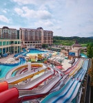 오션어드벤처 천안 | 어트랙션 소노호텔앤리조트