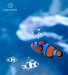 소노캄 제주 | Event & Benefit 소노호텔앤리조트