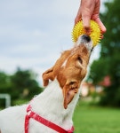 소노캄 비발디파크 | Play & Discover 소노호텔앤리조트