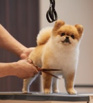 소노캄 고양 | 편의시설 소노호텔앤리조트