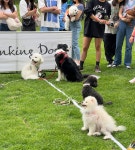 소노벨 비발디파크 | Play & Discover 소노호텔앤리조트