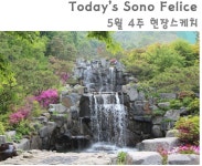소노문 단양 | 고객센터 | 현장스케치 | 소노호텔앤리조트
