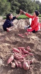 [동문 INTERVIEW]“자연에서 답을 찾다“ 정소이 채소 소믈리에를 만나다 | 숙명여자대학교(국문)