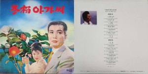 상태 아주 깨끗한 동백아가씨 20년후 해금가요 기념 lp음반 올려봅니다 0527 - 음반-장터 - 소리전자