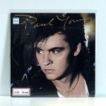 소리전자 - LPLP (LP전문점) 3164. Paul Young – The Secret Of Association