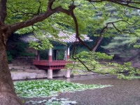 소리샵