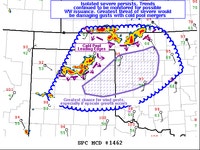 Storm Prediction Center Mesoscale Discussion 1462
