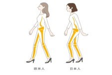 アップルジム（Apple GYM）の口コミ・評判は？ 海外式ボディメイクで見た目にコミット！ - パーソナルジムNAVI@スポニチBIZ