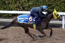 田辺　ライアーズ好騎乗で高松宮記念のソルヴェイグへ弾みを― スポニチ Sponichi Annex ギャンブル 田辺... 