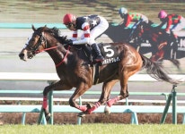 【中山9R・朱竹賞】5番人気シオミチクレバが2連勝　　田辺... 【中山9R・朱竹賞】5番人気シオミチクレバが2連勝　　田辺... 