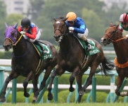 2週連続！13日東京2Rで、3連単13万円超の高額配当をズバリ!!― スポニチ Sponichi Annex ギャンブル 2週連続！13日東京2Rで、... 
