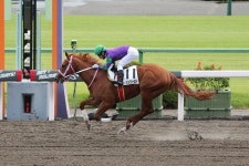 【京都新馬戦】ディオスクーロイ圧勝！川須「さらに動けるようになる」― スポニチ Sponichi Annex ギャンブル 【京都新馬戦】... 