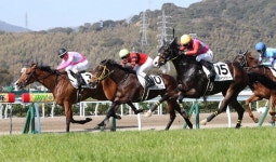 ＜第2回小倉競馬第4日＞2R、1着・3番、クインズセージ、2着・15番、ペイシャケイティー、3着・10番、オウケンビリュウ（撮影... 