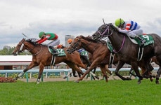 ＜札幌11RキーンランドC＞古馬を撃破し4連勝。... ギャンブル ＜札幌11RキーンランドC＞古馬を撃破し4連勝。... 
